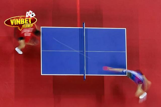 Chuyên gia hướng dẫn cược bóng bàn Vinbet