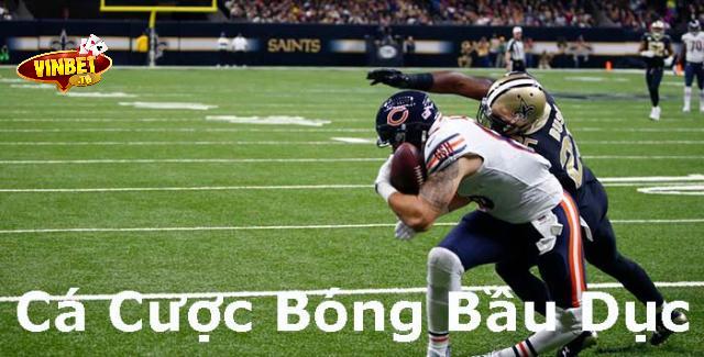 hướng dẫn cược bóng bầu dục vinbet