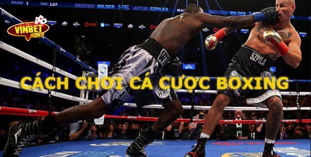 hướng dẫn cược boxing vinbet
