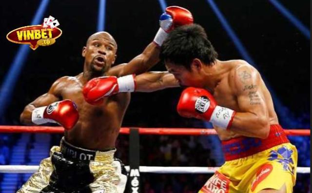 luật cá cược boxing