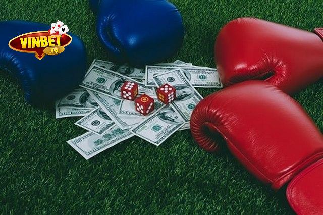 Nhà cái Vinbet cá cược quyền anh