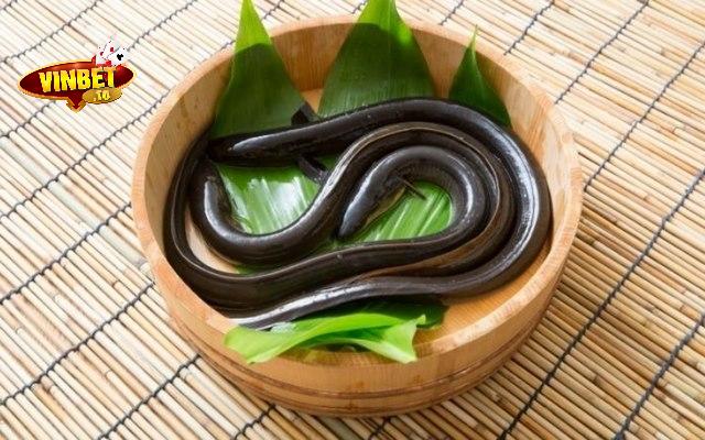 Thấy lươn đen khi ngủ đánh số nào