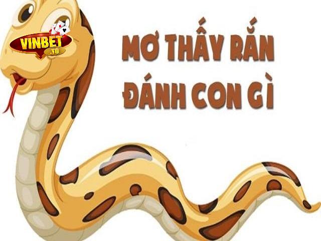 mơ thấy rắn đánh số gì